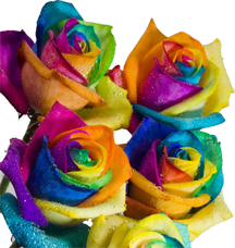 roses